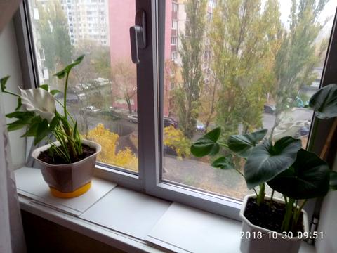 комната по адресу пр.Маяковского, 18