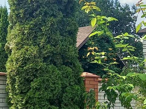 будинок за адресою 6-та лінія