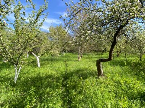 участок по адресу Підлісна, 15а