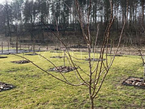 ділянка за адресою с. Ходосівка, Центральна