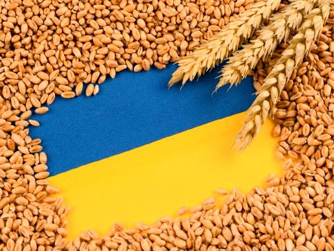 коммерческая по адресу Известковая ул. (Філодорова), 1