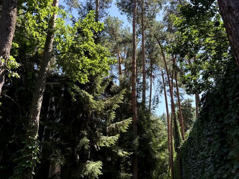 дом по адресу Лісова ул.