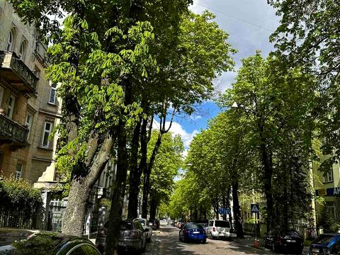 квартира за адресою Євгена Коновальця вул. (), 37