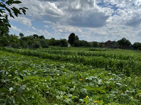 будинок за адресою Чернігівська