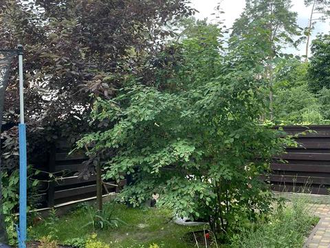 будинок за адресою Варшавська вул., 70