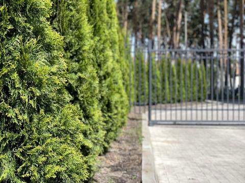 квартира по адресу Университетская ул., 3/4