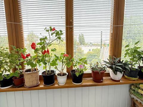квартира за адресою Подолинського вул., 13