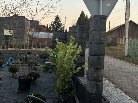 будинок за адресою Львівська вул.