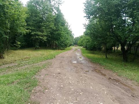 дом по адресу Шевченка