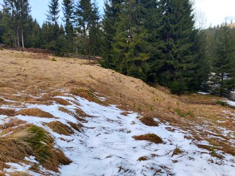 участок по адресу Село