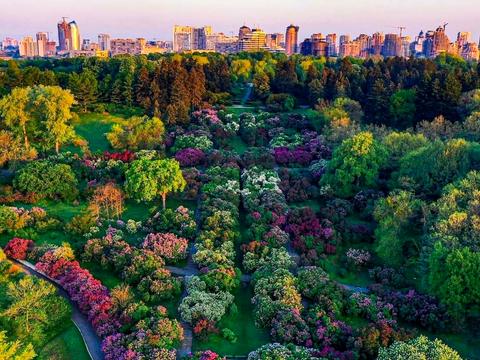 квартира за адресою Володимира Короткевича вул. (Добролюбова), 4