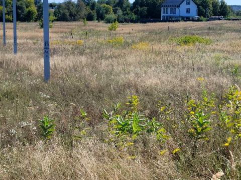 участок по адресу 