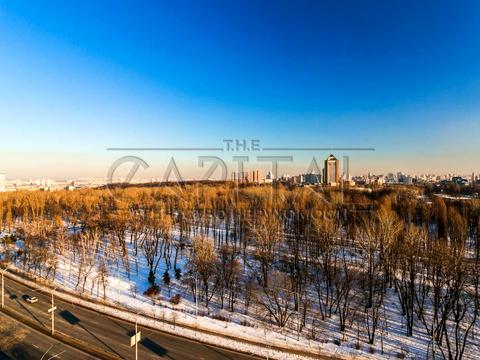 комерційна за адресою Олени Теліги вул., 25
