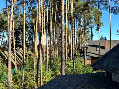 будинок за адресою Лісна