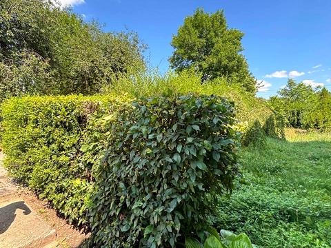 квартира за адресою Петра Юрченка вул., 20