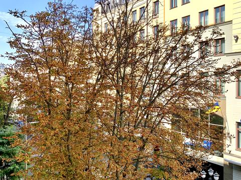 квартира за адресою Ярославів Вал вул., 17-А