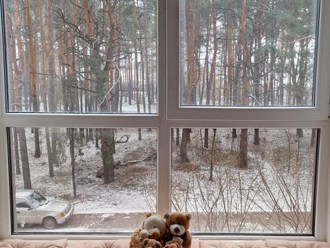 квартира по адресу Радистов ул., 34-А