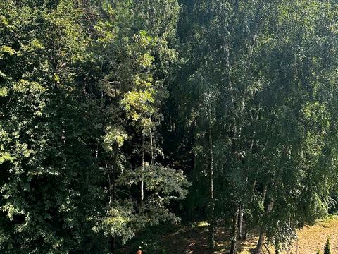 квартира за адресою Соборна вул., 8