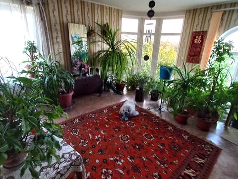 будинок за адресою Дачи, 123