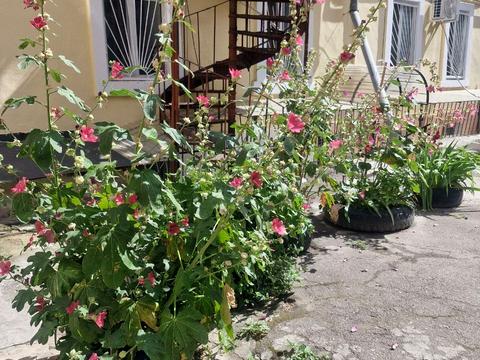 квартира по адресу Коблевская ул. (Коблевська), 28