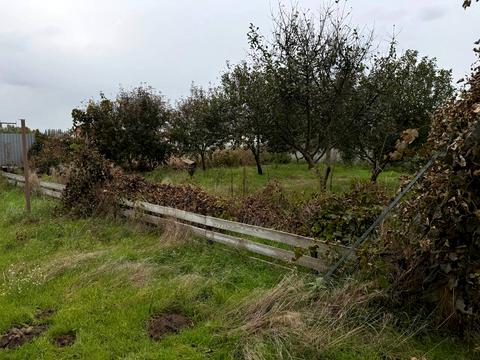 дом по адресу Гетьманська ул.