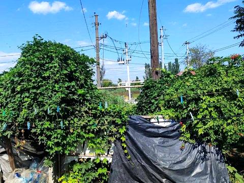 квартира по адресу Хаджибеевская дорога ул., 5