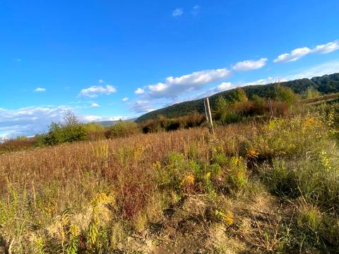 ділянка за адресою Вишнева