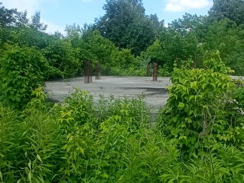 участок по адресу Коцюбинского ул.