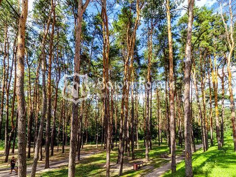 квартира за адресою Світла вул., 3д