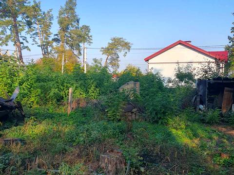 ділянка за адресою Академіка Ромоданова вул. (Льва Толстого)