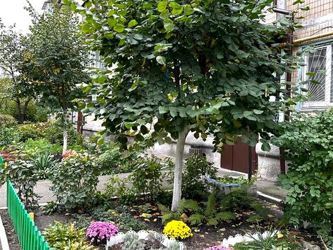 квартира по адресу Верховной Рады бульв., 12-А