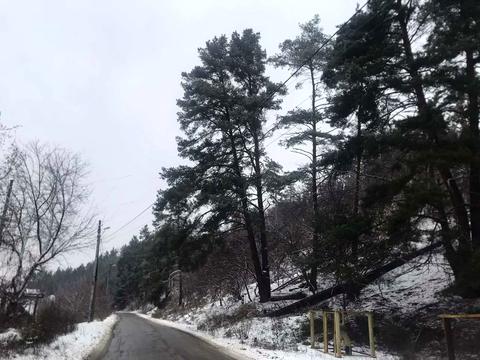 участок по адресу Соснова, 18