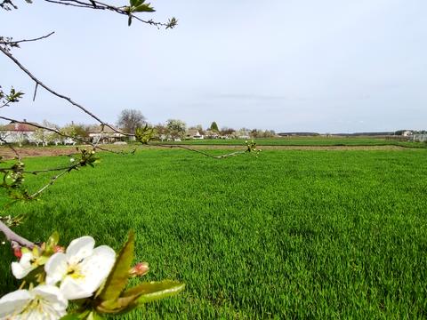 ділянка за адресою Гарфункіна