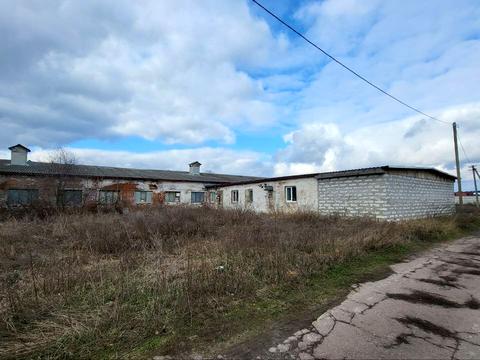 комерційна за адресою с. Новий Білоус, проточна, 9