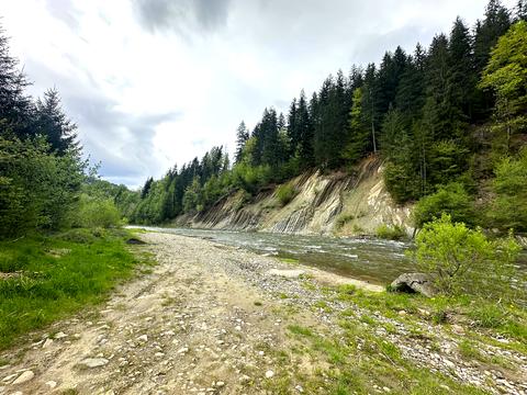 ділянка за адресою Курортна вул., 17