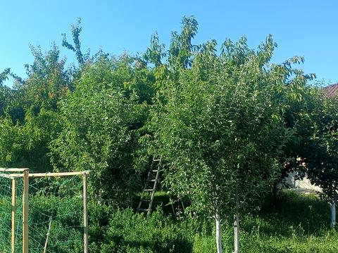 будинок за адресою Андрузького вул.
