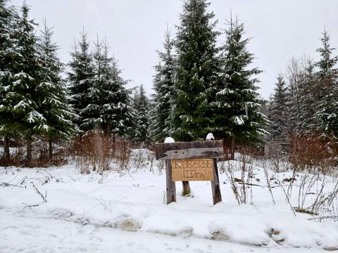 участок по адресу с. Яблоница, довгий грунь