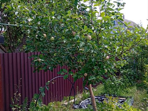 будинок за адресою Центральна вул. (Пролетарська), 79/80