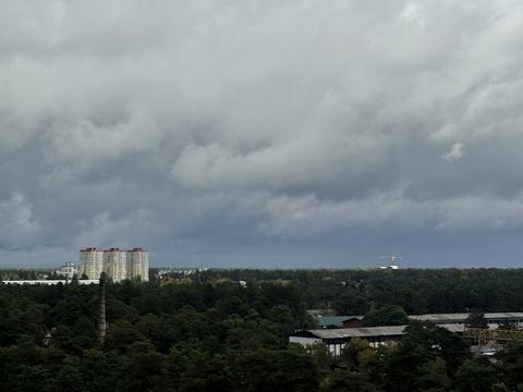 квартира по адресу Бориса Антоненка-Давидовича ул., 1