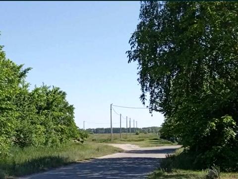 ділянка за адресою с. Шевченкове, 
