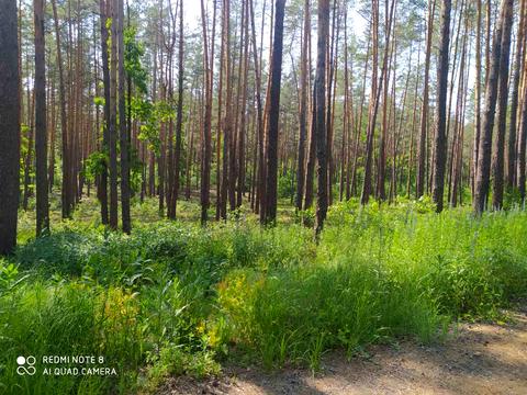 участок по адресу Лісова