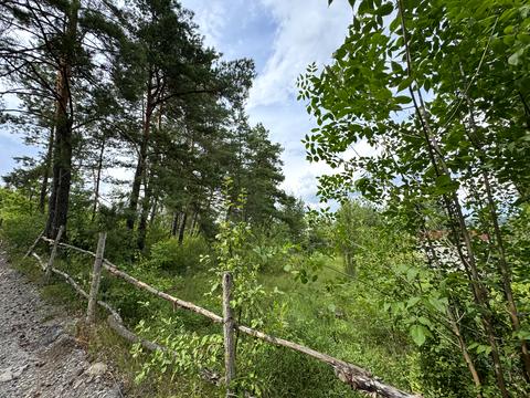 ділянка за адресою Звенигородська вул.