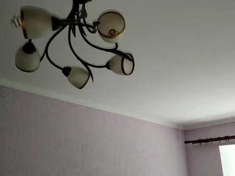 квартира по адресу Бориса Чичибабина ул., 5
