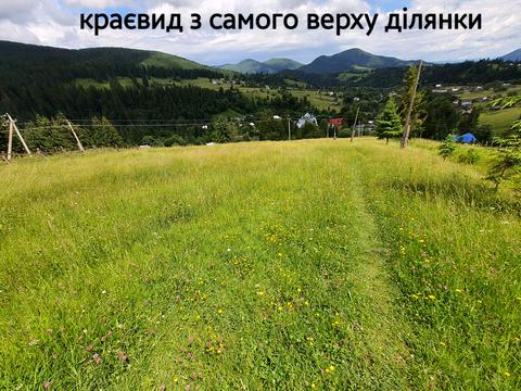 участок по адресу Кривопілля