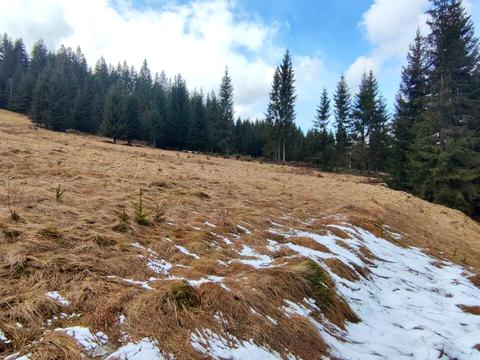 участок по адресу Село