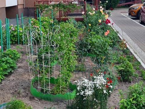 квартира за адресою Білецька, 18