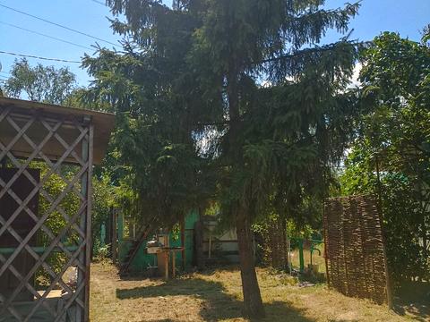 ділянка за адресою Маслівка вул.