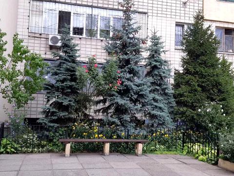 квартира по адресу Ованеса Туманяна ул., 8