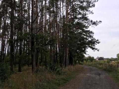 участок по адресу 