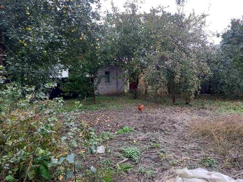 дом по адресу Вербна